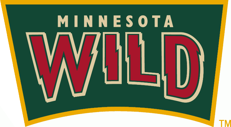 Minnesota Wild 2010-2013 Alternate Logo DIY iron on transfer (heat transfer)